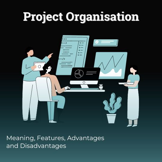 Project Organisation