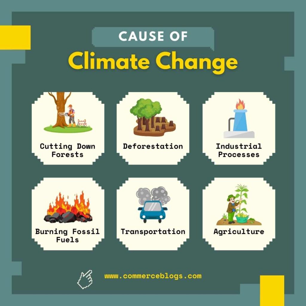 climate change
