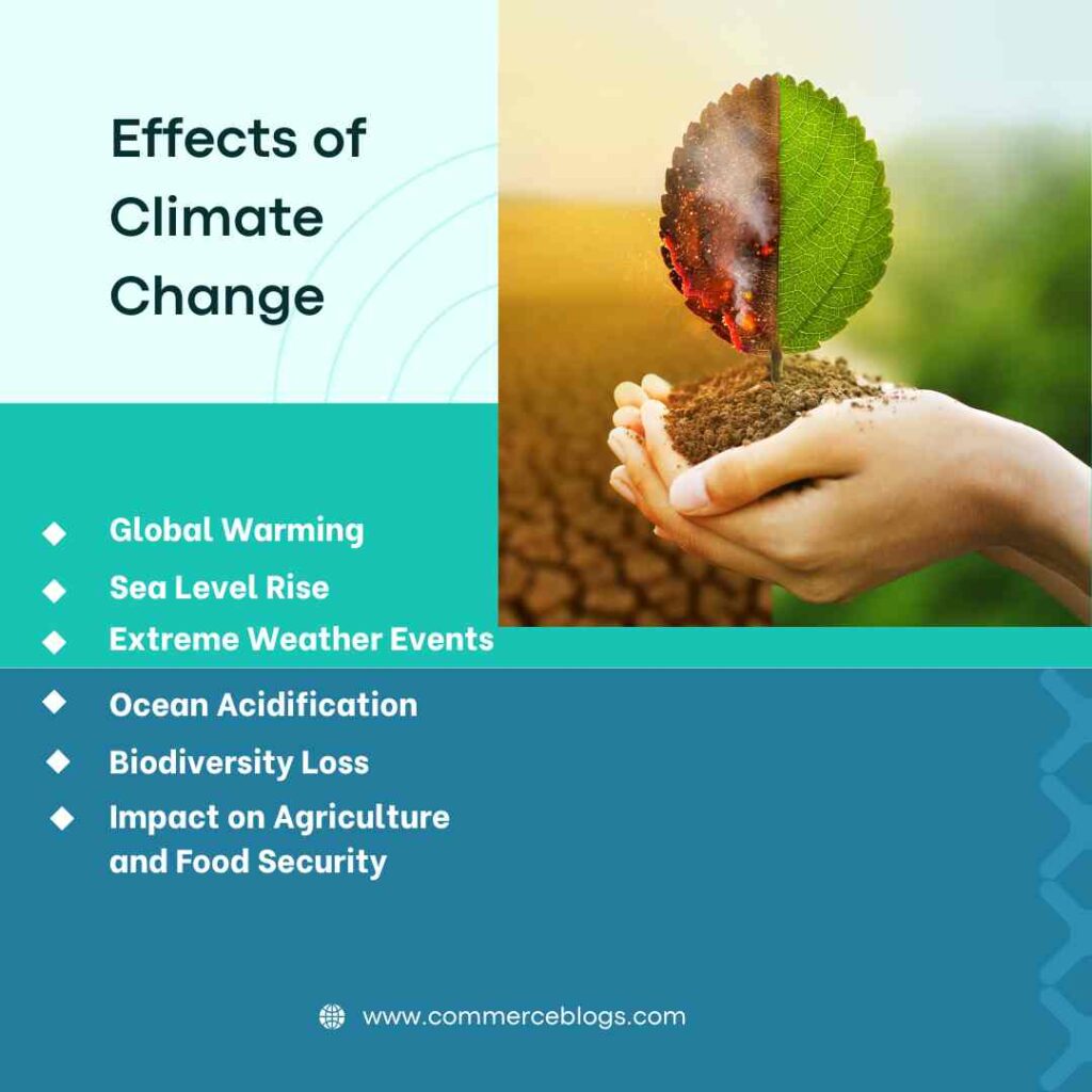effects of climate change